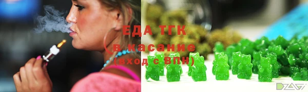 тгк Абаза