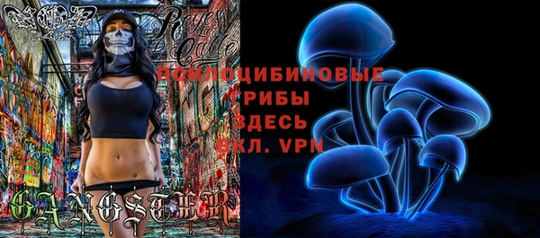 PSILOCYBIN Аксай
