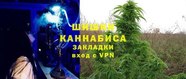 тгк Абаза