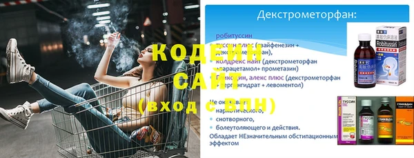 тгк Абаза