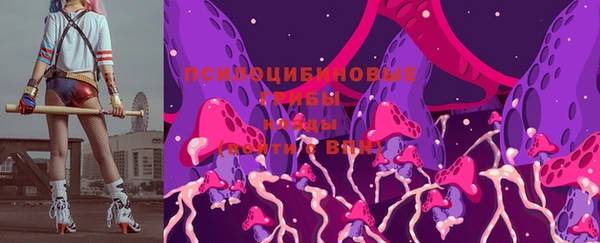 тгк Абаза