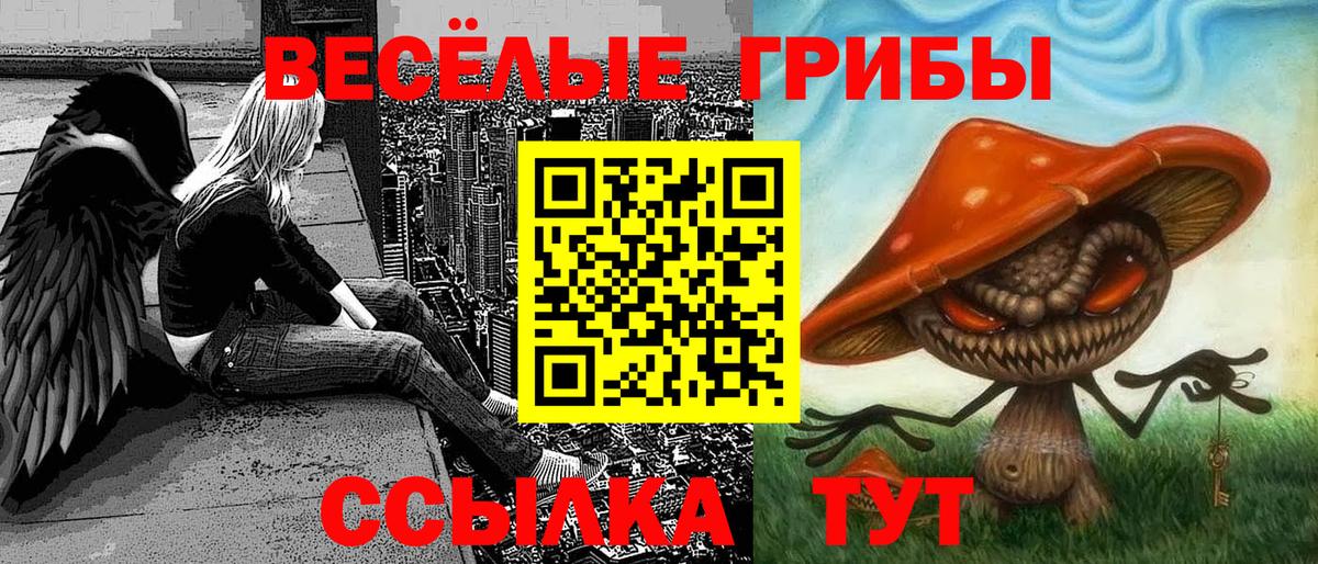 Белая Калитва  Псилоцибиновые грибы Cubensis  даркнет сайт  Вход с VPN  Псилоцибиновые грибы MAGIC MUSHROOMS 